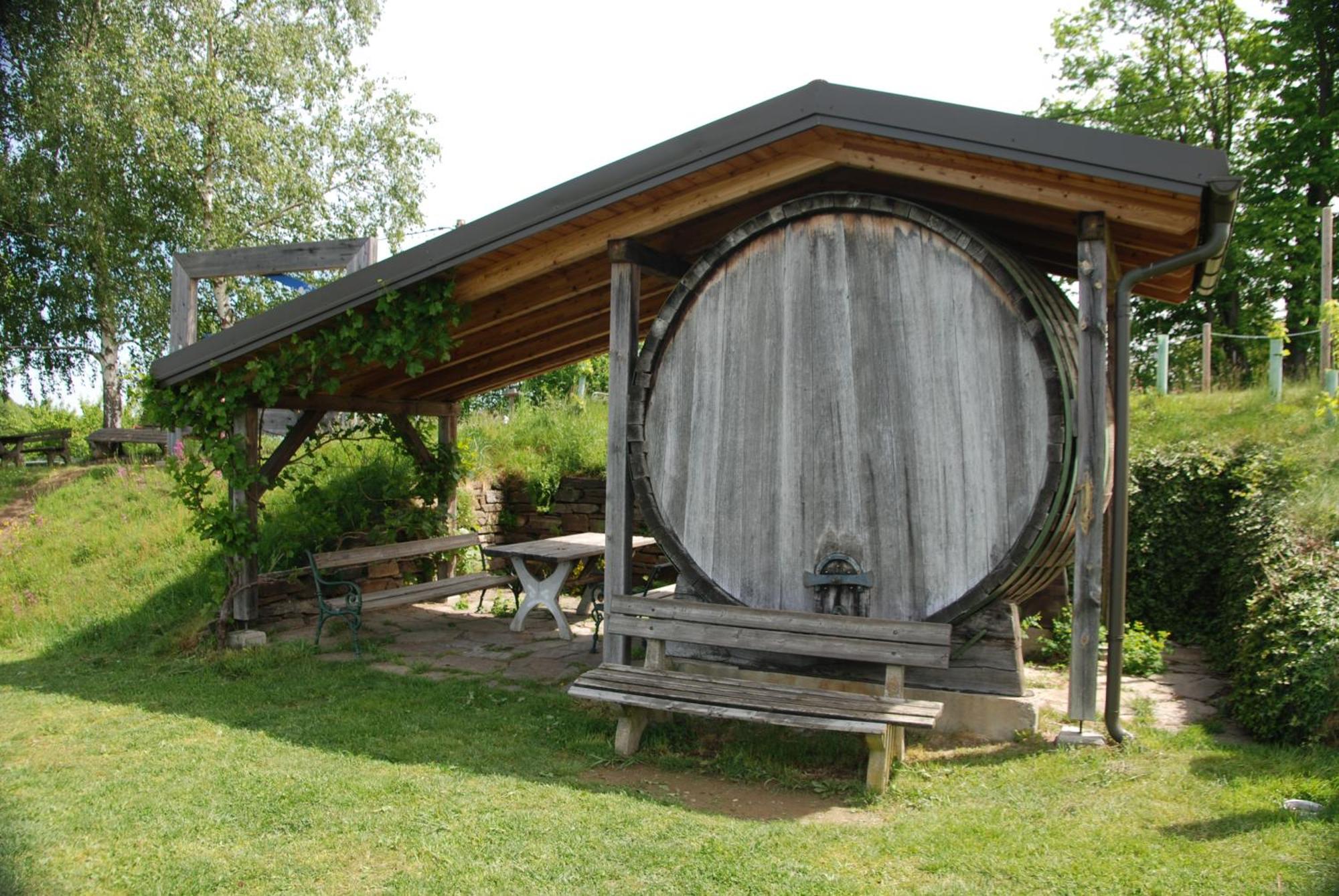 Naturpark-.Weinbergferienhaus كيتسك إيم زاوزال المظهر الخارجي الصورة