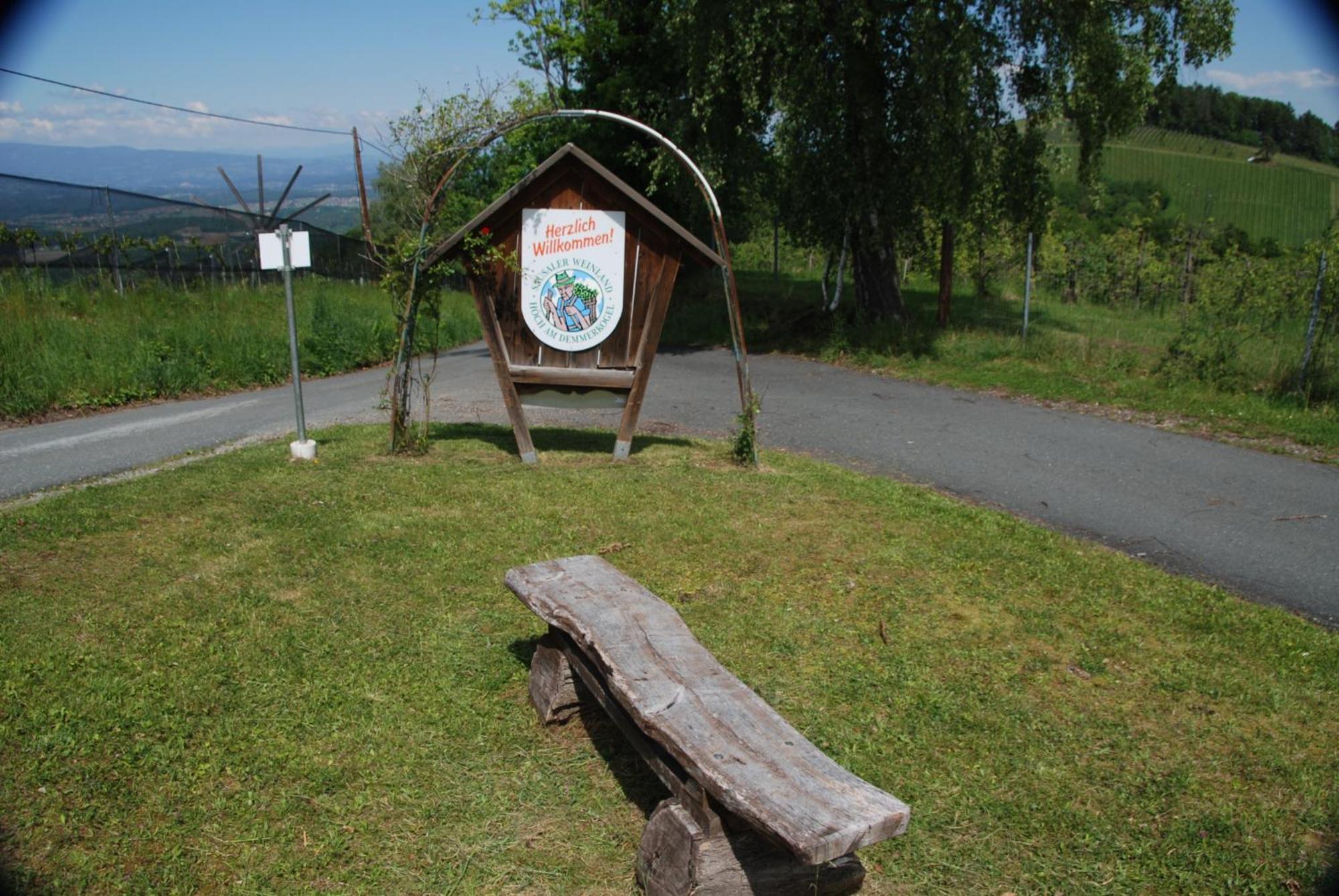 Naturpark-.Weinbergferienhaus كيتسك إيم زاوزال المظهر الخارجي الصورة